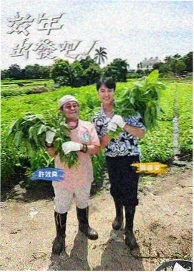 萌娃亲子综艺
